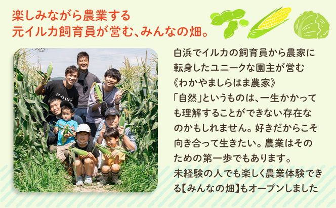 しらはまソラポタ 6袋 セットわかやましらはま農家 特製 ポタージュスープ 304018_DK04