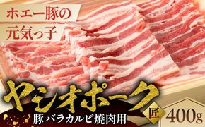 ns145-006 ヤシオポーク匠豚バラカルビ焼き肉用400g