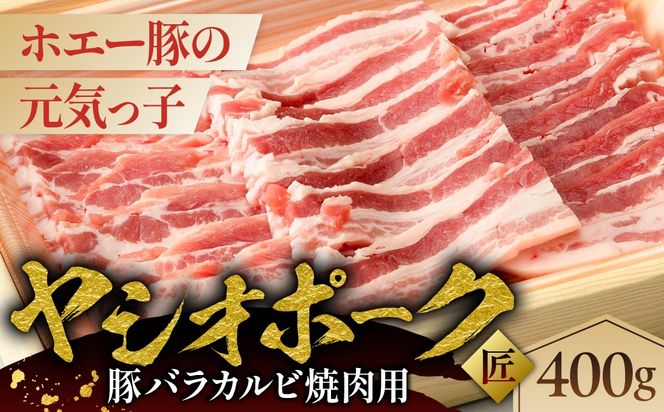ns145-006 ヤシオポーク匠豚バラカルビ焼き肉用400g