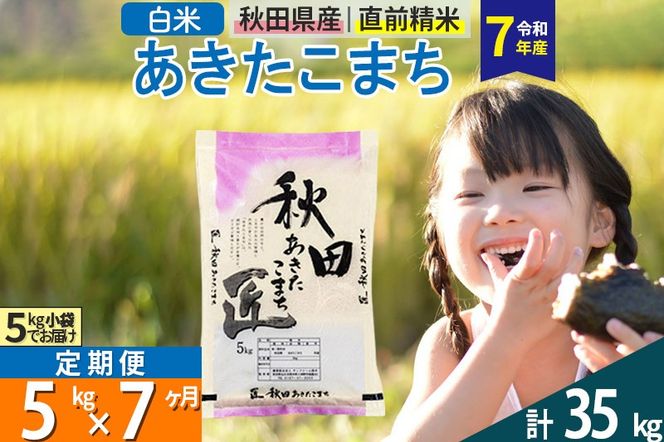 yHckszyāzߘa7NY s7tHcY ܂  5kg (5kg×1)×7 5L  |02_snk-010307s