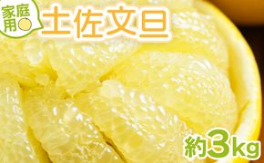 文旦 家庭用 3kg 大小混合(サイズ：L～3L) 高知 大玉 小玉 混合 訳あり 傷 果物 土佐文旦 ぶんたん ブンタン フルーツ 柑橘 香南市産 高知県 数量限定 期間限定 季節限定 旬 常温 10000円以下 1万円以下 yk-0071