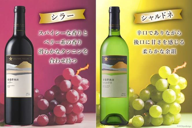 6回 定期便 ワイン セット サッポロ グランポレール 安曇野池田ヴィンヤード 6種 各750ml 総計36本 飲み比べ [池田町ハーブセンター 長野県 池田町 48110631] 赤 白 赤ワイン 白ワイン 辛口 シャルドネ