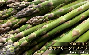 【2026年5月発送】北海道 富良野産 露地 グリーン アスパラ Lサイズ約1kg 野菜 アスパラガス