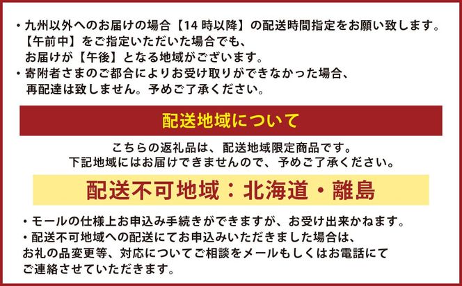 南国サーモン 約400g 皮付き 200g×2個 サーモン 鮭 サケ さけ 刺身 焼き鮭 魚 魚介 冷蔵 熊本県 上天草市 【2026年3月上旬～4月下旬迄発送予定】
