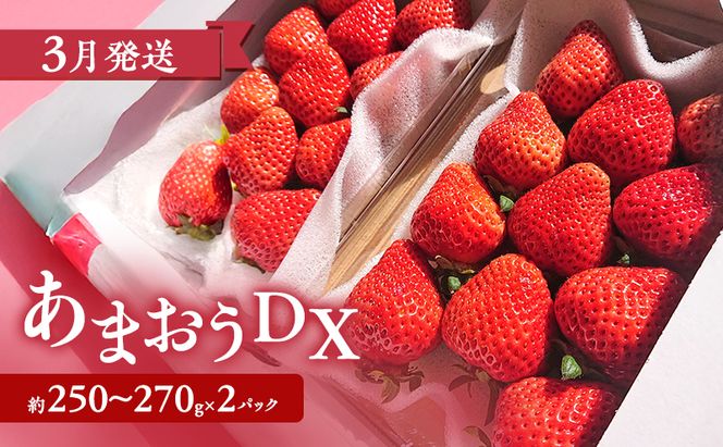 【2027年3月上旬より発送開始】【予約受付・3回定期便】あまおう贅沢セットNo.1 ※配送不可：北海道・沖縄県・離島