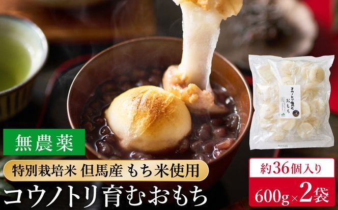 特別栽培米 兵庫県但馬産 コウノトリ育むおもち（丸餅）農薬・化学肥料不使用 2袋 1.2kg（約36個） / 無添加 切り餅 個包装 無農薬 化学肥料不使用 但馬産 添加物不使用 常温保存 国産 おもち お餅 餅 まる餅 白餅 焼き餅 雑煮 お正月 正月用