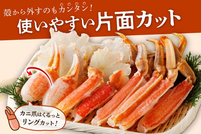 鮮度抜群！お刺身でも食べられる！カット生ズワイガニ 2肩分　 YK00416