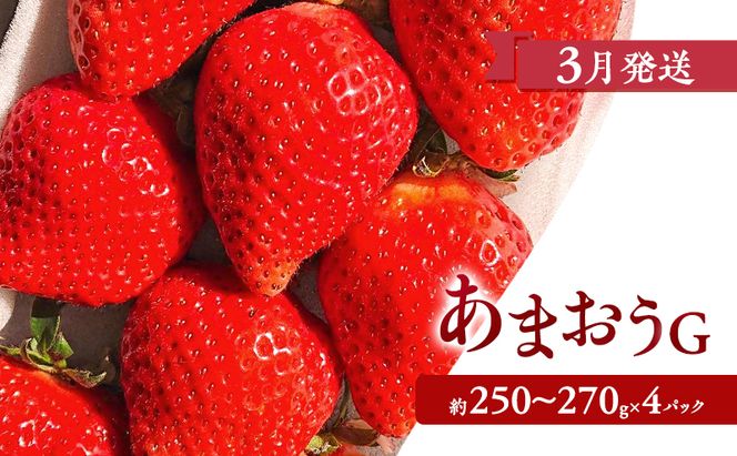 【2027年3月上旬より発送開始】【予約受付・3回定期便】あまおう満喫セット ※配送不可：北海道・沖縄県・離島
