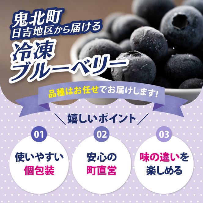 【先行予約】【選別済み大粒】冷凍ブルーベリー900g（150g×6P） | 選別済み 大粒 国産 個包装 小分け 冷凍 鬼北町直営農園 果実 フルーツ 果物 くだもの 朝食 ヨーグルト　鬼北町役場 日吉支所 愛媛県 ※2026年8月～発送