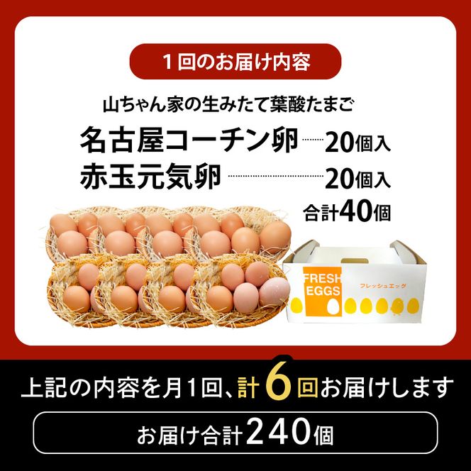 【6ヶ月定期便】【山ちゃん家の生みたて葉酸たまご】名古屋コーチン卵・赤玉元気卵 食べ比べセット（各20個 合計40個入り）［132Y12-T］6ヶ月定期便 山ちゃん家 生みたて 葉酸たまご 名古屋コーチン卵 赤玉元気卵 食べ比べ セット 各 20個 合計 40個 入り 地鶏 卵 朝食 卵焼き 目玉焼き オムライス ゆでたまご 山田養鶏 お取り寄せ 愛知県 小牧市 送料無料