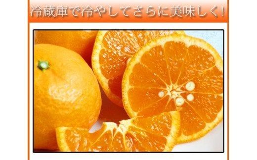  初夏の みかん なつみ 3kg / みかん 甘い 柑橘 有田 和歌山 果物 ※2027年4月中旬頃〜4月下旬頃順次発送予定（お届け日指定不可） ※離島への配送不可 【uot753A】