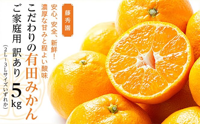 こだわりの有田みかん ご家庭用 訳あり 5kg 2L～3Lサイズいずれか AQ010