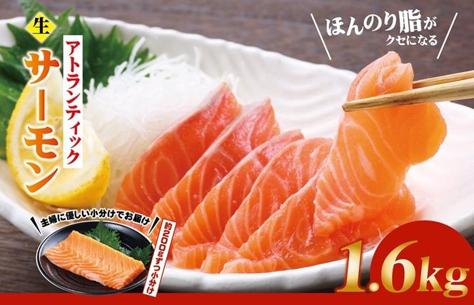 y{򍲖szG3551 HIAgeBbNT[ v1.6kgy ؂ hg  CNz