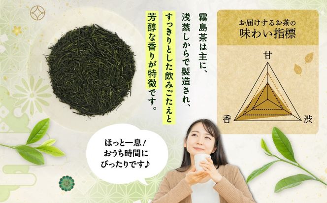 ＜選べる＞かごしま霧島茶 100g×1袋～12袋　K346-002_SKU