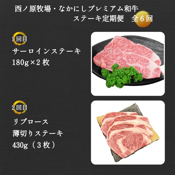 【定期便 全6回】宮崎県西ノ原牧場・なかにしプレミアム和牛ステーキ定期便（牛肉 黒毛和牛 ステーキ サーロイン モモ 定期便 A4 A5）