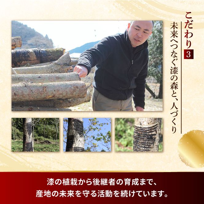 本物の器・大子漆八溝 朱塗椿皿 1枚｜茨城県 大子町 器而庵 漆器 漆塗り 皿 器 食器 和食器 木製 工芸品 伝統工芸（AD004）