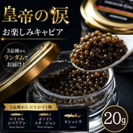 【お試しキャビア】皇帝の涙 20g 3品種からランダムで1種（オシェトラ・ホワイトスタージョン）国産 チョウザメ キャビア