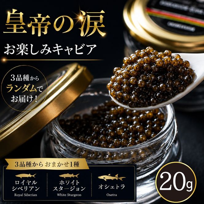 【お試しキャビア】皇帝の涙 20g 3品種からランダムで1種（オシェトラ・ホワイトスタージョン）国産 チョウザメ キャビア