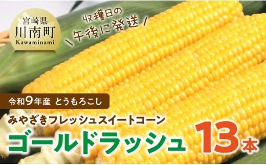 【令和9年発送】　宮崎県産とうもろこし　みやざきフレッシュスイートコーン「ゴールドラッシュ」13本 【 新鮮 朝どれ 農家直送 トウモロコシ 産地直送 期間限定 数量限定 真空予冷 JA 】 [B03803]
