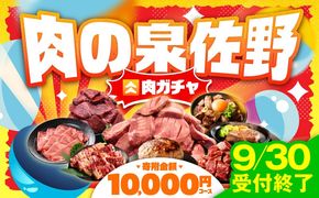 gacha014 【9/30受付終了】肉の泉佐野 ガチャ（寄附10,000円コース）【期間限定 牛肉 焼肉 牛タン ハラミ カルビ BBQ ハンバーグ お楽しみ】