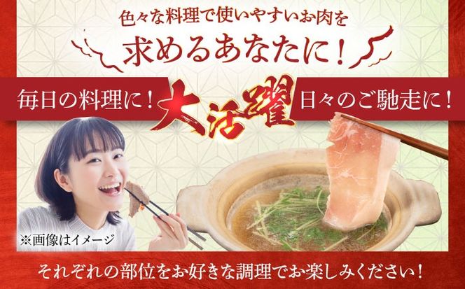 【全12回定期便】合計4.6kg！糸島豚食べ尽くしセット(とんかつ、肩ロース、しゃぶしゃぶ、豚バラ、スペアリブ、小間切れ) 糸島市 / トラヤミートセンター 豚肉 セット[AJD024]