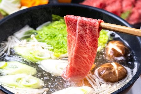 佐賀産和牛肩ロースしゃぶしゃぶすき焼き用 600g【肉 牛肉 ブランド牛 黒毛和牛 ふるさと納税】(H112280)
