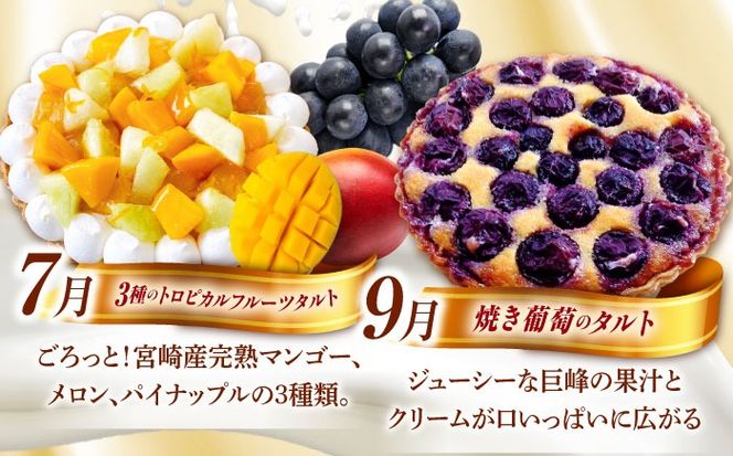 【奇数月 5回定期便】 季節の タルト 定期便 / タルト フルーツ 旬 スイーツ メロン 果物 モンブラン チーズタルト / 南島原市 / アトリエジジ[SAA035]