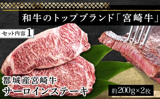 宮崎牛ヒレ・サーロインステーキ640g_AD-2504_(都城市) 食べ比べ 牛肉 ブランド牛 ヒレステーキ 120g×2枚 サーロインステーキ 200g×2枚 ソース 塩コショウ 真空パック 希少部位
