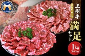 上州牛カルビロース満足セット 約1.0kg(各500g×2パック)群馬県 千代田町  国産 牛肉 ブランド牛 精肉 肉 お肉 焼肉 バーベキュー BBQ キャンプ アウトドア 食べ比べ 食品 冷凍便 グルメ お取り寄せ グルメ 送料無料 