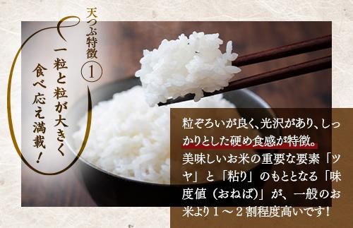 【令和8年産】【全5回定期便】米　国見町産　天のつぶ  10kg（5kg×2袋）　5回定期便 ※2026年10月～発送