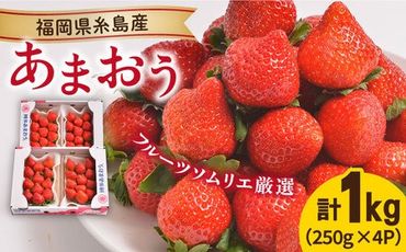 【先行予約】糸島産【冬】 あまおう 4パック 【2024年12月上旬以降順次発送】《糸島》【南国フルーツ株式会社】