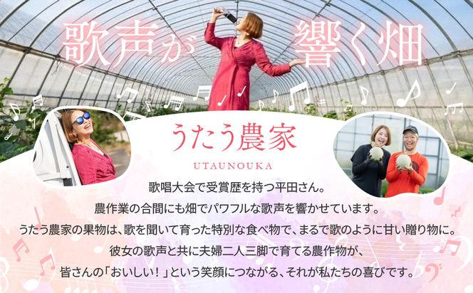 【先行予約】798.種ごと食べられる！小玉スイカ【ピノ・ガール】2玉（1玉2kg前後×2玉）※着日指定不可※離島への配送不可 313726_BQ007