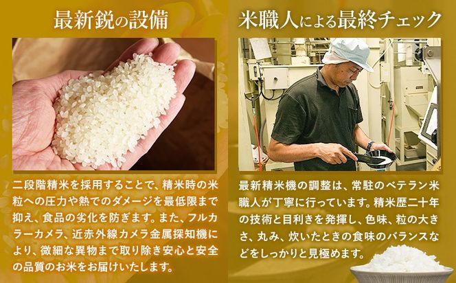 令和6年産 無洗米 も 選べる こしひかり 白米 or 無洗米 選べる精米方法 内容量 5kg 10kg 15kg 20kg 白米 精米 無洗米 熊本県産(南阿蘇村産含む) 単一原料米 南阿蘇村《7-14日以内に出荷予定(土日祝除く)》---mna_kh6_wx_25_13500_5kg_h---