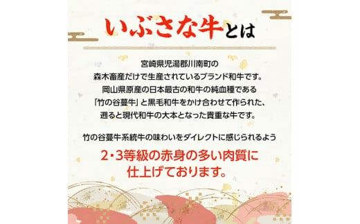 【6ヶ月定期便】いぶさな牛のスペシャル焼肉セット650g 【 宮崎県産 牛 焼肉 黒毛和牛 定期便 】[D05307t6]