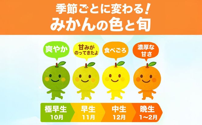 【訳あり】みかん 家庭用 (3S～3Lサイズ) 約10kg 八代市産 熊本 ご家庭用 蜜柑 ミカン 柑橘 くだもの 果物 フルーツ デザート