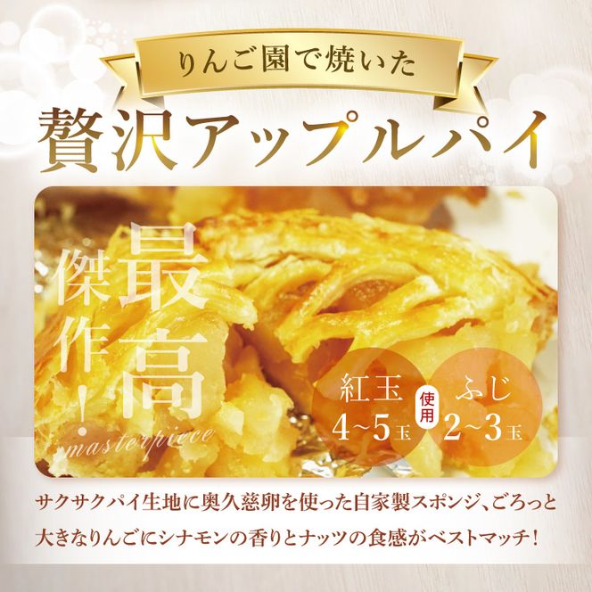 【藤田観光りんご園】りんご園で焼いた贅沢アップルパイ（ホールサイズ）｜茨城県 大子町 お菓子 洋菓子 焼菓子 スイーツ 林檎 りんごパイ お祝い 贈り物 ギフト プレゼント 贈答(BJ001)