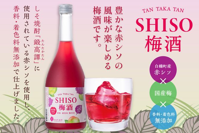 鍛高譚（たんたかたん）の梅酒[720ml]【12本セット】