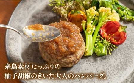 【先行予約】フレンチの名店とコラボした糸島ハンバーグとカレーのセット【2024年12月上旬以降順次発送】 糸島市 / itoshimacco《（株）やました》 [ARJ041]