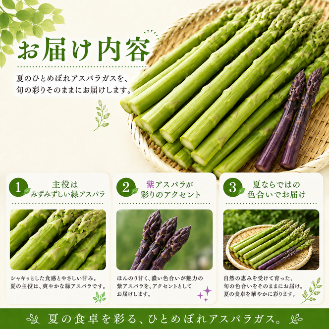 夏限定 ひとめぼれアスパラガス 3kg グリーン パープル ミックス 産地直送 農家直送 夏野菜 朝採れ 新鮮 旬 アスパラ シャキシャキ サラダ バーベキュー BBQ お弁当 肉巻き おすそ分け ファミリー 大容量 ギフト 送料無料
