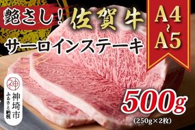 艶さし！【A4～A5】佐賀牛サーロインステーキ 500g(250g×2枚)【肉 牛肉 ブランド牛 黒毛和牛 ステーキ肉 ふるさと納税】(H112105)