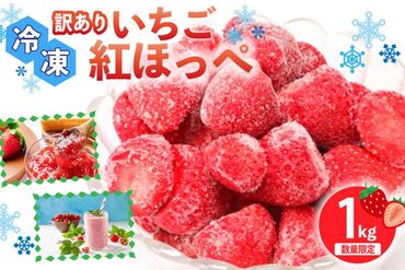 【数量限定30】（訳あり）農家直送冷凍いちご（紅ほっぺ） 1kg　YK00156