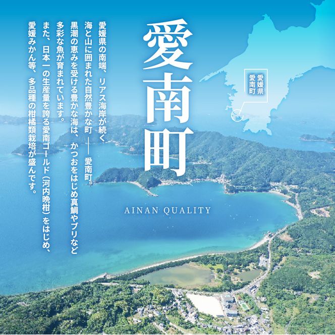 愛南産　吉田農園 河内晩柑で作ったピール×5袋