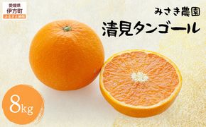 清見タンゴール 8kg ※北海道、沖縄・離島への配送不可（2026年3月中旬ごろから順次発送） IKTAP003