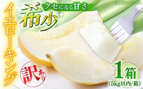 【2026年5月〜発送】訳あり メロン イエローキング 1箱 5kg以内 / メロン めろん フルーツ 果物 / 南島原市 / 南島原果物屋[SCV042]