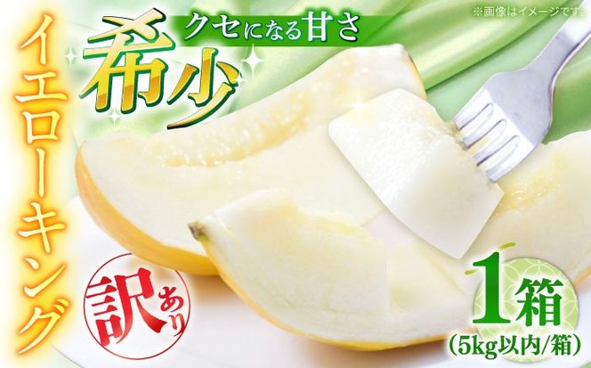 【2026年5月〜発送】訳あり メロン イエローキング 1箱 5kg以内 （3～6玉）/ メロン めろん フルーツ 果物 / 南島原市 / 南島原果物屋[SCV042]