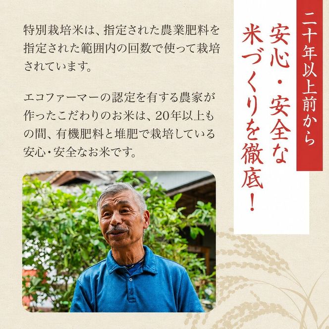 米 お米 コシヒカリ 香川県産 令和8年産 10kg 玄米 再生二期作米 二期作 水主地区 エコファーマー 20年以上 有機肥料 堆肥 こだわり ご飯 主食 こしひかり ライス 食卓 家庭用 自宅用 お取り寄せ 間嶋農園 香川県 東かがわ市 46312469