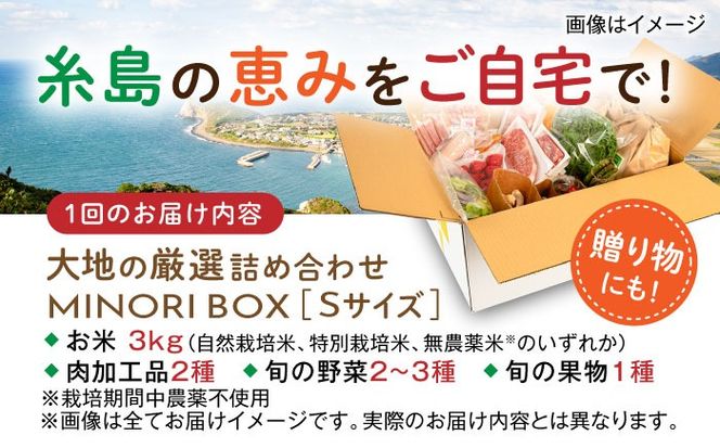 【全6回定期便】糸島産 肉 米 野菜 果物 厳選詰め合わせ MINORI BOX Sサイズ 糸島市 / emma.Inc / 米 肉 野菜 果物 詰め合わせ[AOP009]