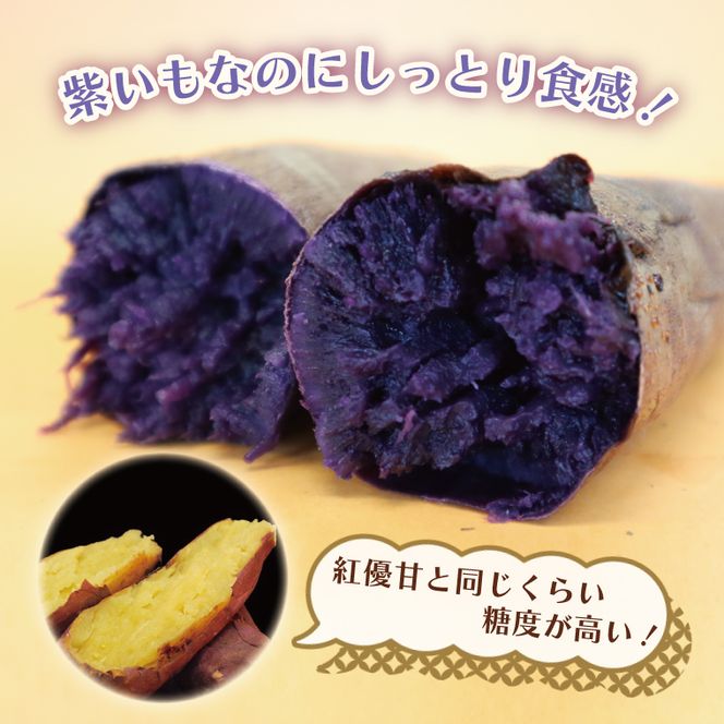 【2026年12月より順次発送】【訳あり】行方かんしょ「行方の紫福」さつまいも約10kg（洗い・不揃い・C品）｜さつまいも サツマイモ さつま芋 お芋 行方の紫福 訳あり わけあり 訳アリ 行方かんしょ 茨城県 行方市(AE-113)