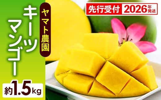 yꌧdzystzy2026Nz}g_ L[c}S[1.5kg - Yn Y Y ʕ t[c 썑t[c {̖o Ǐn s\ 󏭎 lC   ꌧ d