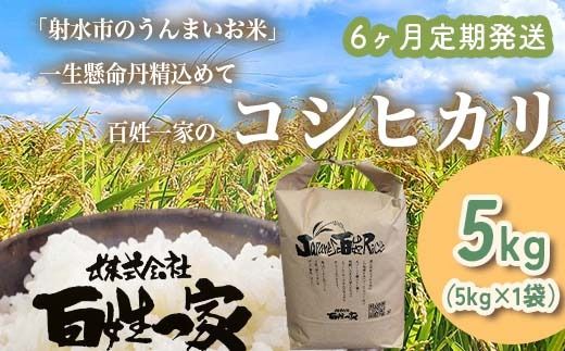 【6ヶ月定期便】【射水市】【射水の美味しいお米】R8年産 百姓一家のコシヒカリ 5kg【精米】 ※2026年10月～発送